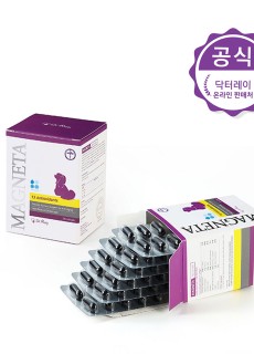 마그네타