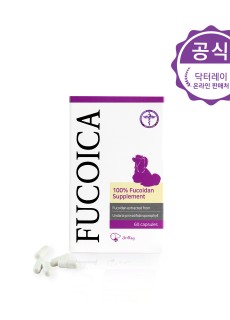 후코이카
