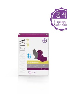 마그네타 미니