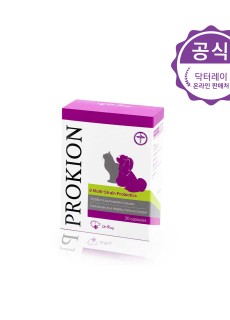 프로키온