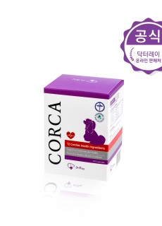 코르카