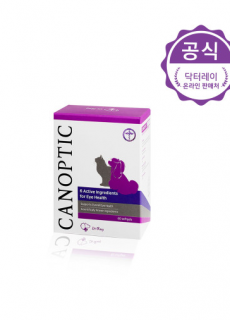 카놉틱