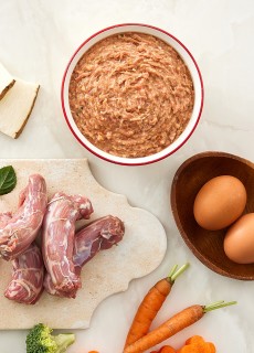 뼈있는 오리고기 생식 12P (Duck & Bone Canine Raw)